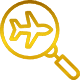 icon of airplane on magnifying glass